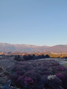 ファイル 3414-5.jpg
