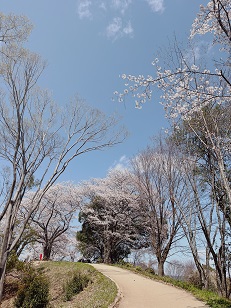 ファイル 3418-4.jpg