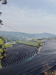ファイル 3433-4.jpg