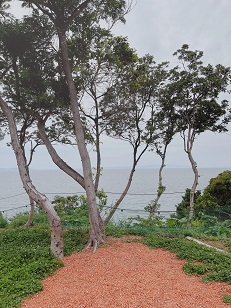ファイル 3441-1.jpg