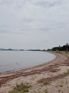 ファイル 3447-5.jpg